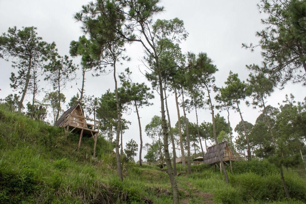 Готель Papandayan Camping Ground Cileuleuy Екстер'єр фото