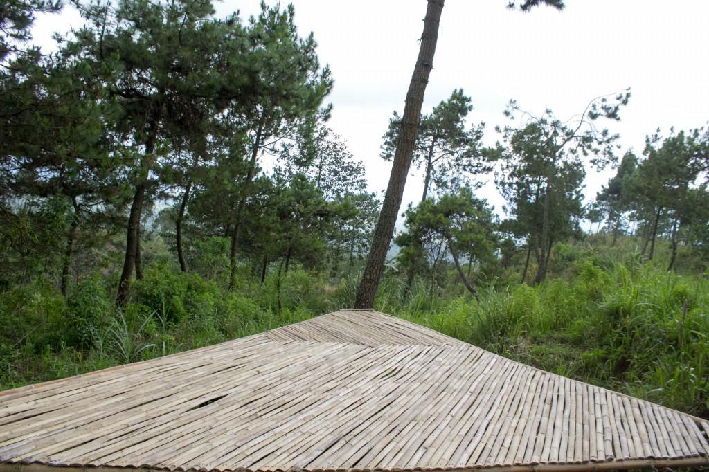 Готель Papandayan Camping Ground Cileuleuy Екстер'єр фото