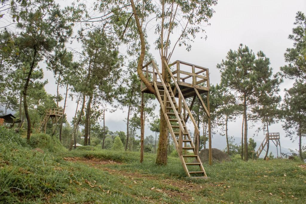 Готель Papandayan Camping Ground Cileuleuy Екстер'єр фото