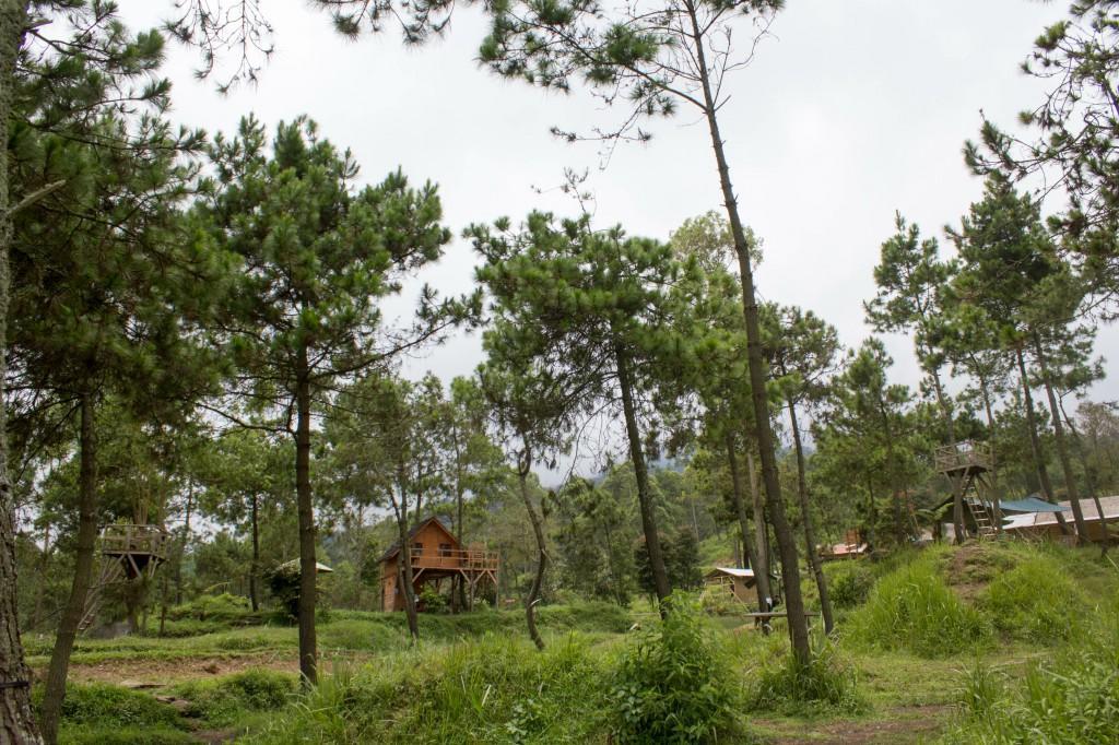 Готель Papandayan Camping Ground Cileuleuy Екстер'єр фото