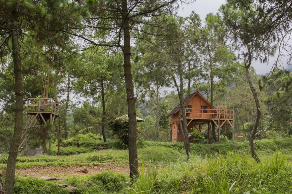 Готель Papandayan Camping Ground Cileuleuy Екстер'єр фото