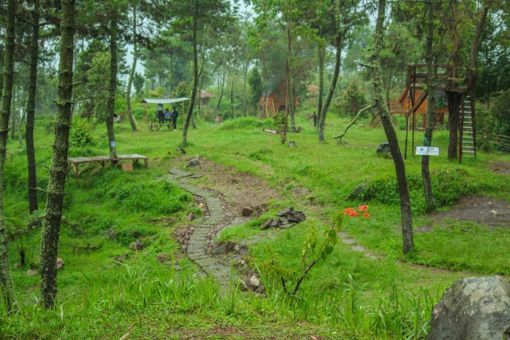 Готель Papandayan Camping Ground Cileuleuy Екстер'єр фото